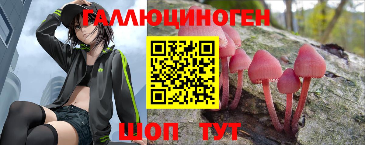 Псилоцибиновые грибы мухоморы Переславль-Залесский