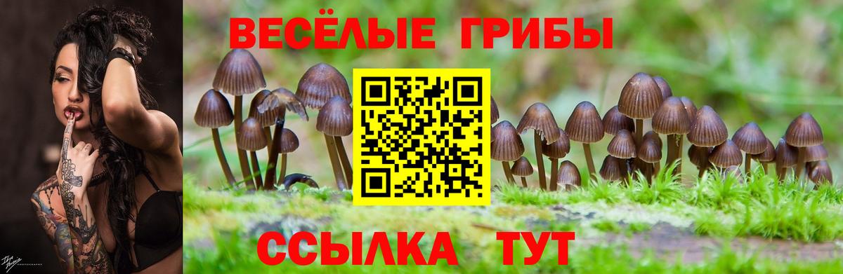 Псилоцибиновые грибы ЛСД  Вход с VPN  Переславль-Залесский 